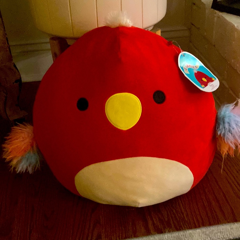 Official squishmallow brand. ~Meet Paco the parrot!~